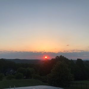 Meet your Posher, Carly